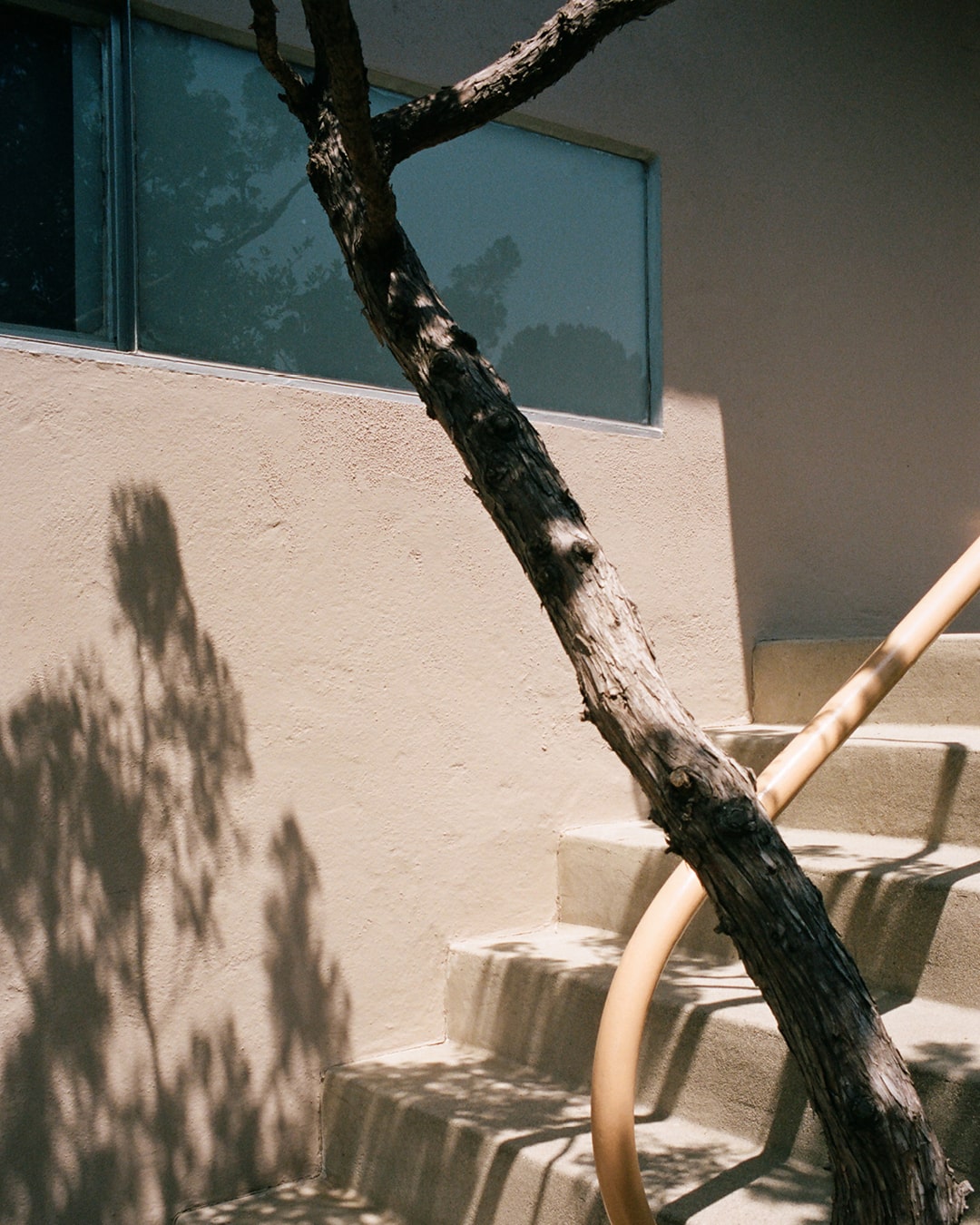 Lolly Would, project: California Creatives (Fig. 5)